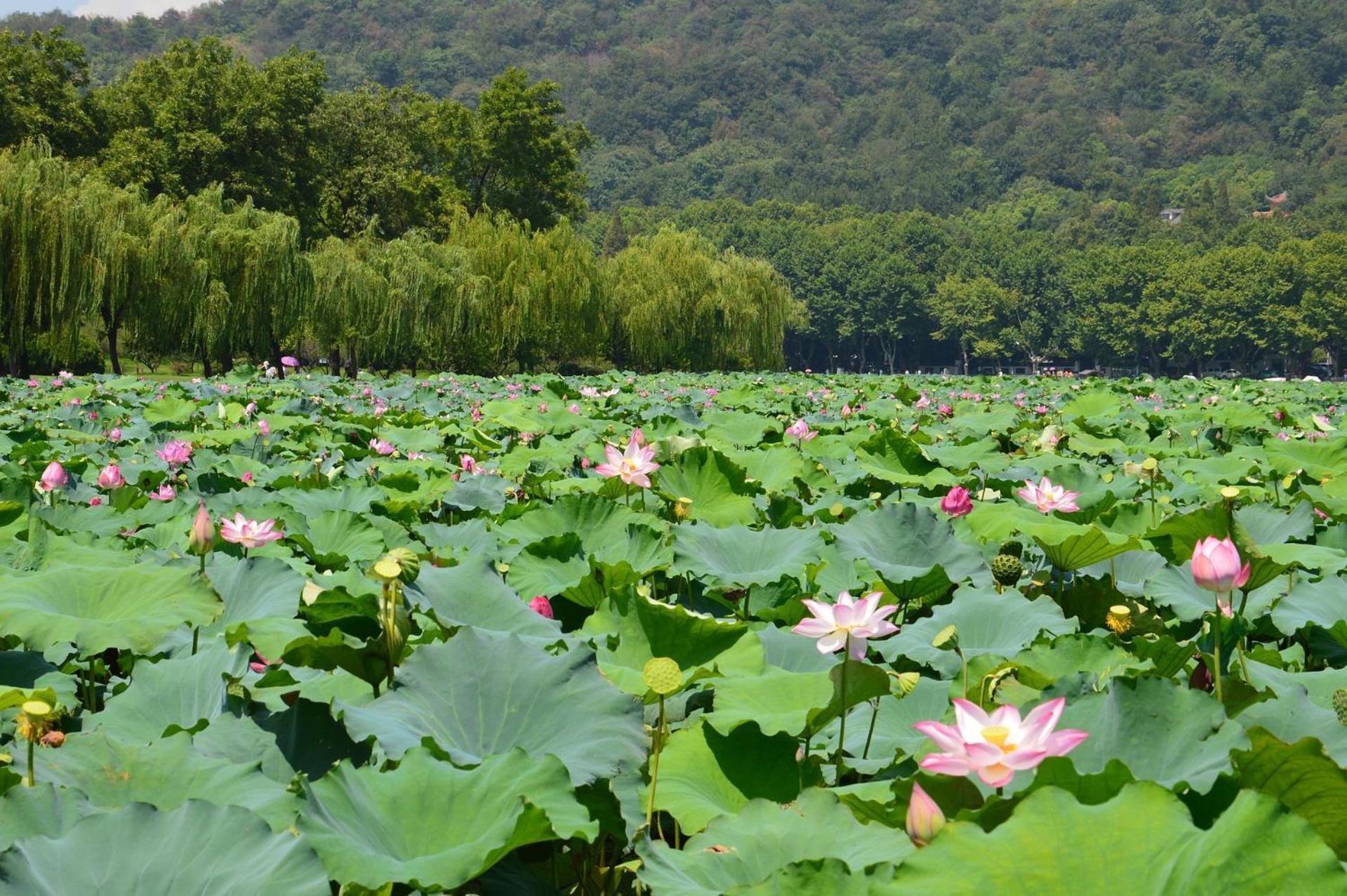 Nost Algia S Hotel In The West Lake Scenic Area-,Lingyin Temple, Leifeng Tower, Children'S Playground, Free Night Snack, Free Laundry, English Communication Well, Free Travel Advice Ханджоу Екстериор снимка
